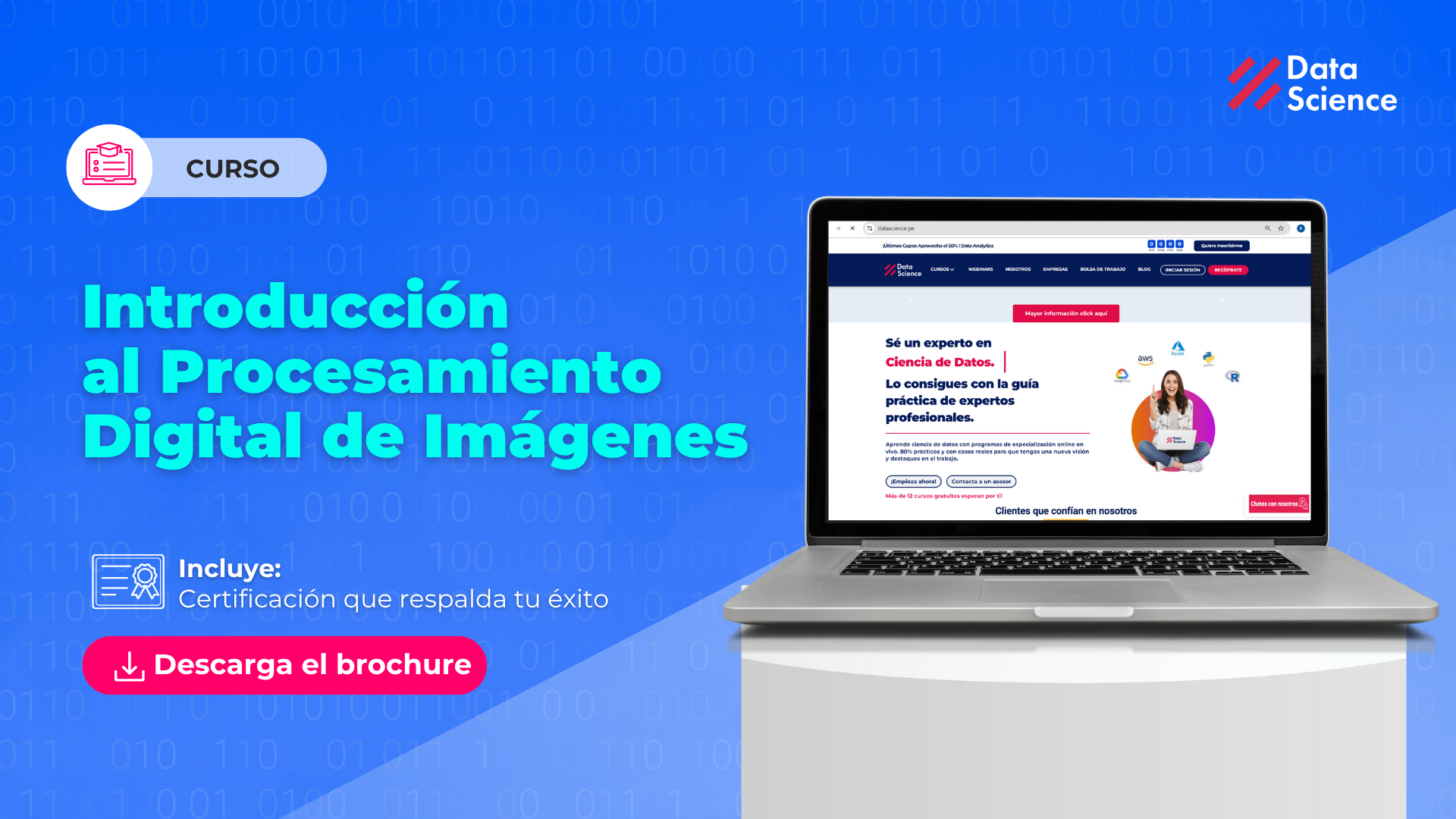 introduccion-PDI